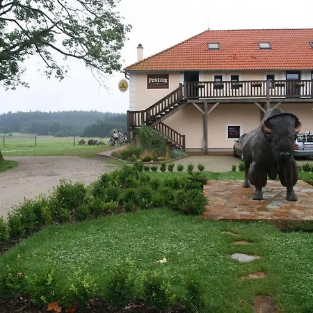 Bison Ranch Guest house Roznov