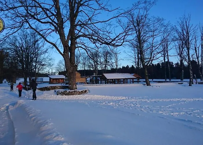 Bison Ranch 3*