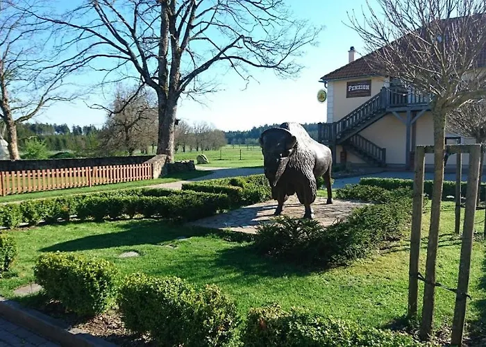 Bison Ranch 3*